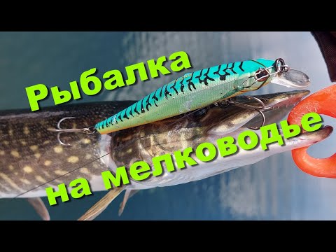 Видео: Рыбалка на мелководье. Рыбалка на заливах реки Ангары.