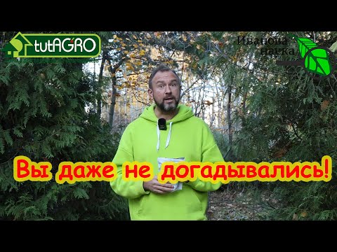 Видео: 6 ВОПРОСОВ и ОТВЕТОВ о ТРИХОДЕРМЕ и БОВЕРИИ: они опасны? закисляют почву? и многое другое.