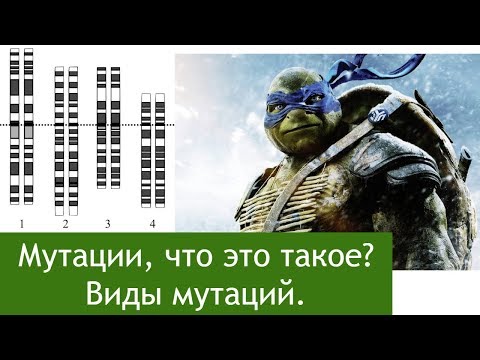 Видео: Мутации, что это такое? Виды мутаций