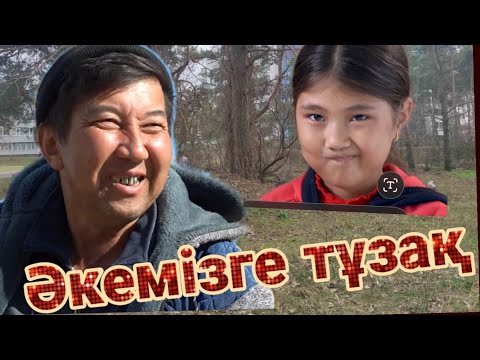 Видео: Ловушка для папы. Казахстан. Нурлан. (казахский язык).