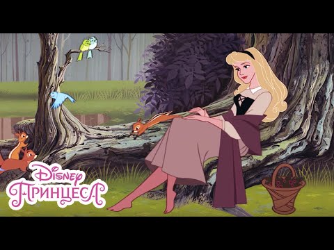Видео: Среща с Принцът | Спящата красавица | Disney Принцеса