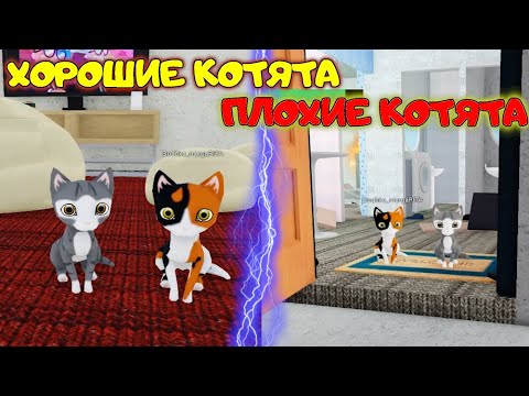 Видео: ПАПА и ДОЧКА стали ВРЕДНЫМИ и ПЛОХИМИ КОТЯТАМИ! Симулятор РАЗРУШЕНИЯ КОТОВ Bad Cat МЫ все СЛОМАЛИ!