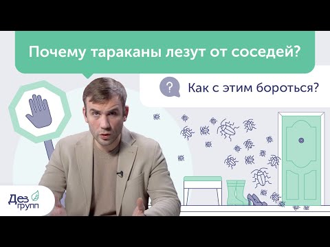 Видео: Что делать, если тараканы лезут от соседей? Обработка от тараканов