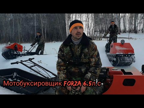 Видео: мотобуксировщик forza!!! 6.5 л.с стоит ли брать?