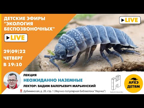 Видео: Детский эфир "Неожиданно наземные" курса "Экология беспозвоночных"