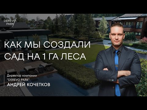 Видео: Как мы создали сад на 1 га леса: проект DEREVO PARK “Таинственный лес»