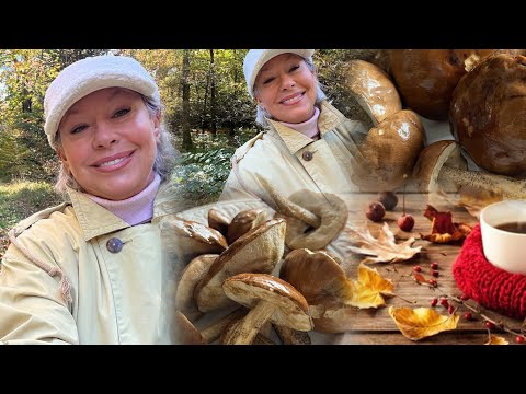 Видео: 31 октября 2025 г.Ну и Паша👴Который боится 😬 есть 🍄‍🟫Грибочки 