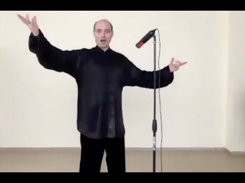 Видео: Д.Дейч: Чем движение тайцзицюань отличается от любого другого движения?