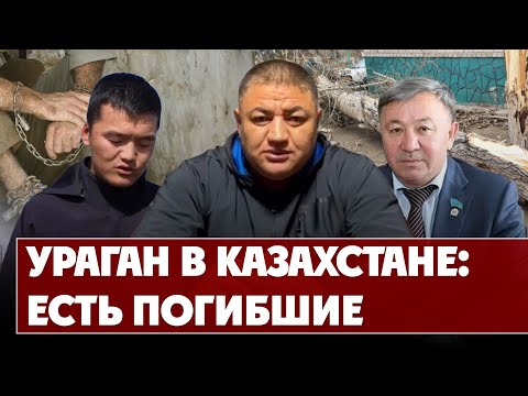 Видео: У Хасана есть родственник в Сенате