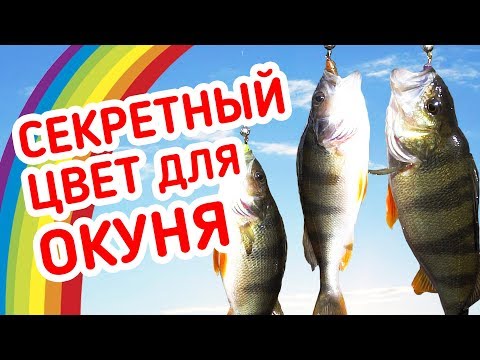 Видео: СЕКРЕТНЫЙ цвет приманки на ОКУНЯ! Рыбалка на микроджиг с берега.