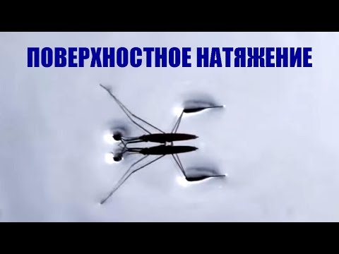 Видео: Поверхностное натяжение