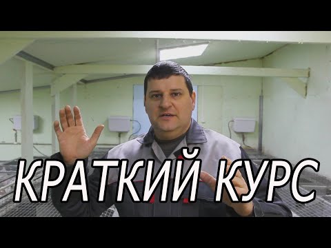 Видео: РАЗВЕДЕНИЕ И СОДЕРЖАНИЕ КРОЛИКОВ от А до Я в одном видео.