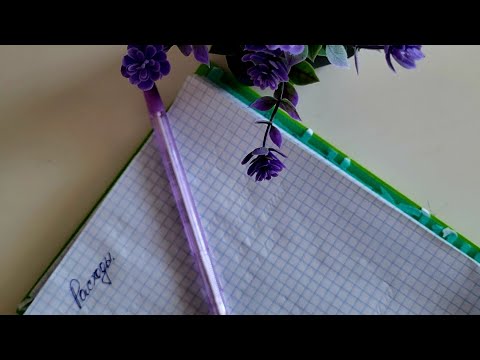 Видео: Расходы в многодетной семье / Семья с тремя детьми #расходы #семья #многодетные #беларусь 