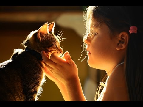 Видео: Захварэў мой бедны коцік. Франак Шэмет.