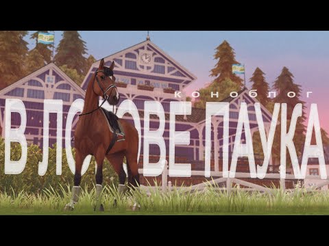 Видео: В ЛОГОВЕ ПАУКА | КОНОБЛОГ | Star stable RRP