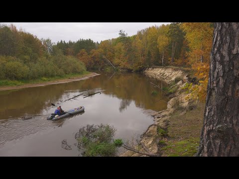 Видео: Путешествие по осенней Мещёре, 2 часть. Река Пра в Октябре. Сплав Деулино - Брыкин Бор.