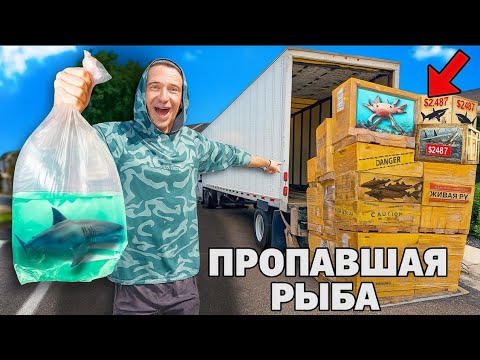 Видео: Заказ поддона для возврата живой рыбы... Что внутри?