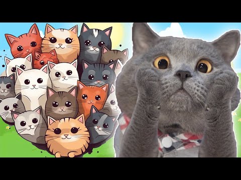 Видео: Котик Едун в деревне, мультик игра про котика, Tasty Planet #28