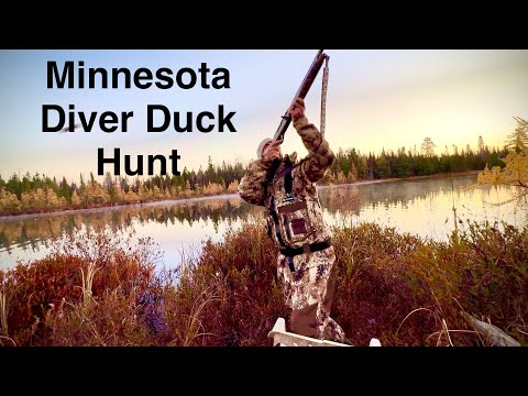 Видео: Охота на уток Minnesota Diver
