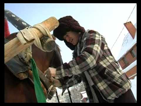 Видео: Владимирский тяжеловоз.Живой дом серия 48