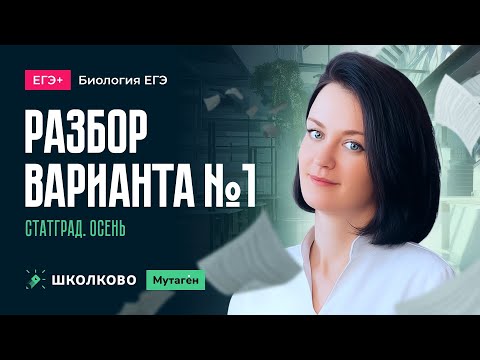 Видео: Разбор осеннего варианта 1 стадграда