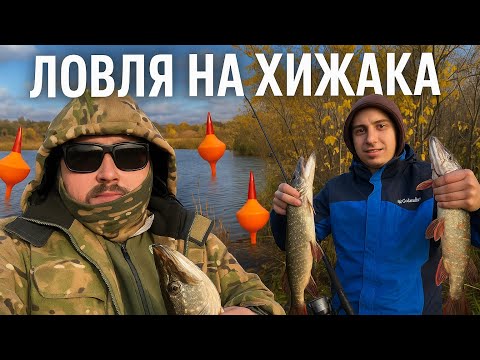 Видео: Ловля на хижака🐠🎣