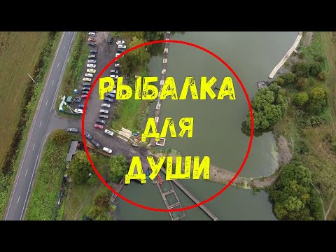 Видео: Форелевая рыбалка при использовании донных монтажей и ультралайта