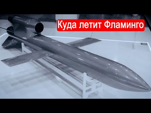 Видео: Куда летит Фламинго. / Техникум Марка Солонина