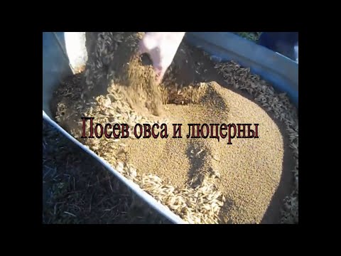 Видео: ПОСЕВНАЯ 2020.Посев Овса и Люцерны  Дедовским Методом