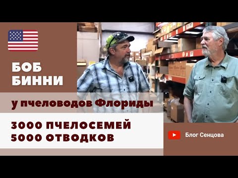 Видео: 3000 пчелосемей, 5000 отводков - Рей Летнер, поставщик оборудования и пчеловод из Флориды
