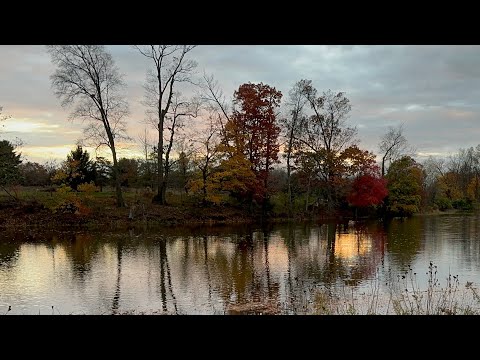 Видео: Осенние дни