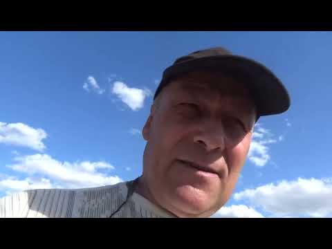 Видео: Обо всём по немногу, всходы, нужна подсказка каналу Подворье Филиповых.