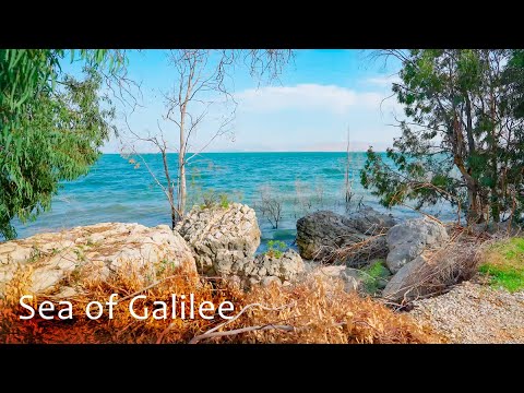 Видео: 2000 лет назад здесь все было заселено людьми. Северо-западное побережье Галилейского моря
