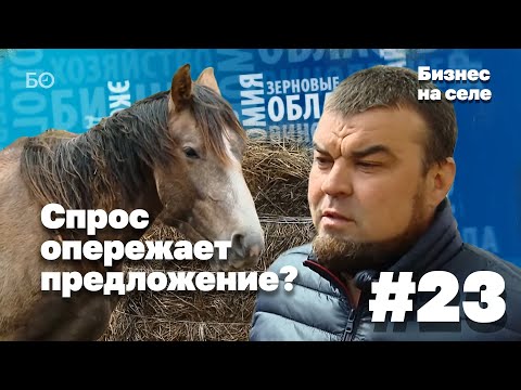 Видео: Почем лошадиные силы для народа? | Бизнес на селе #23