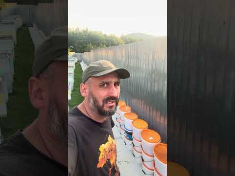 Видео: Сироп для бджіл !!! Ніякого секрету немає !!!