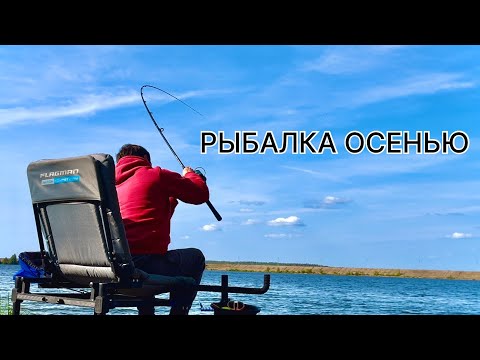 Видео: РЫБАЛКА ОСЕНЬЮ. Ранний выезд на РЫБАЛКУ. В поиске осеннего ЛЕЩА на фидер…