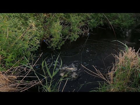 Видео: рыбалка на паук подъёмник рекомендую посмотреть
