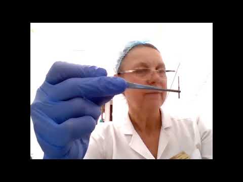 Видео: Практическое занятие Вращающиеся стоминструменты  Абразивные инструменты