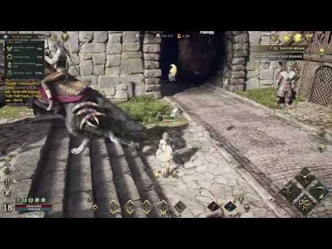 Видео: Legend Of Ymir Гайд Без Доната Скилы Сервер NAEU 05 06 04 03