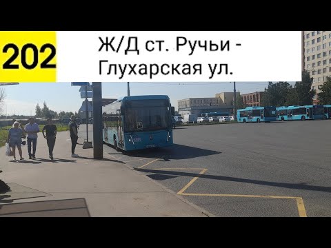Видео: Автобус 202. Ж/Д ст. Ручьи - Глухарская ул.