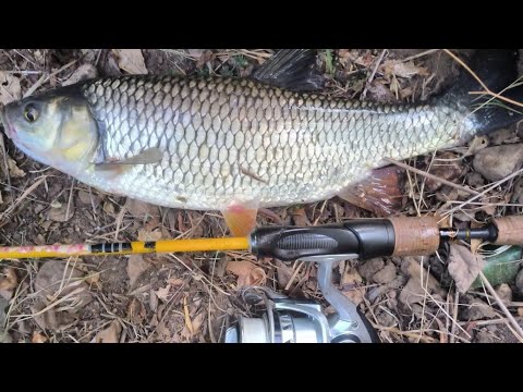 Видео: СПИНИНГ РИБОЛОВ НА яз.ОГНЯНОВО #23 И БАЛАСТРИЕРА КРИВА БАРА