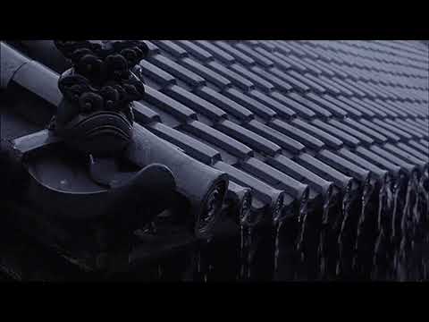 Видео: HammAli & Navai-Птичка (LoveWORLD Slowed Reverb)