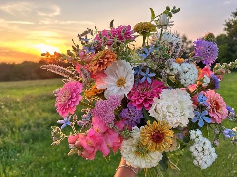Видео: Остани в тишината на мъдростта...