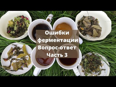 Видео: ошибки ферментации ответы на вопросы часть 3
