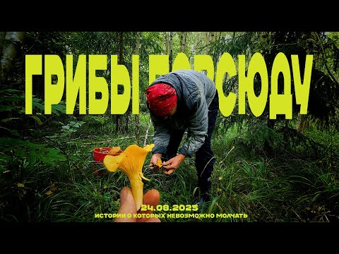 Видео: Охота за грибами с бабушкой: неожиданный улов!