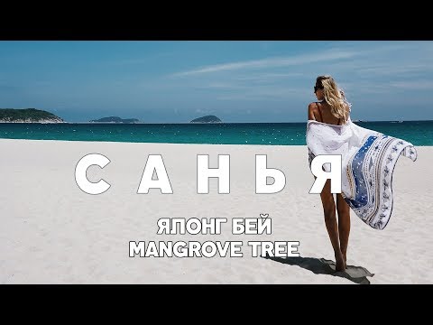 Видео: #12 САНЬЯ ЦЕНЫ В КАФЕ В ЯЛОНГ БЕЙ ПЛЯЖ ОТЕЛЯ MANGROVE TREE КАК ТАМ БЕСПЛАТНО ПРОВЕСТИ ДЕНЬ