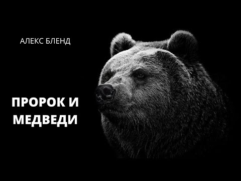 Видео: Элиша и медведицы.