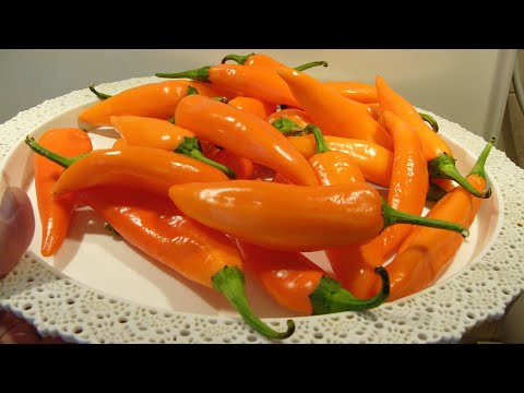Видео: Три способа приготовления пикантного перца Халапеньо Заготовка на зиму