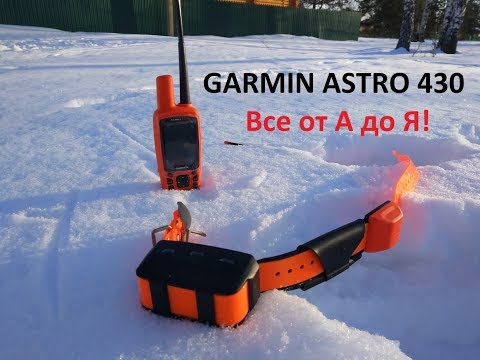 Видео: Инструкция обзор и тест Garmin Astro 430. Как пользоваться и что умеет.