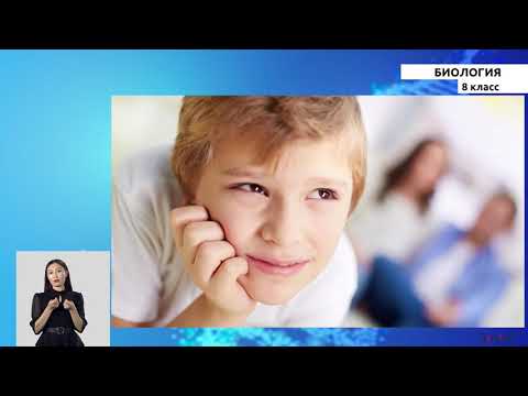 Видео: 8-класс |  Биология |  Нервная система, ее строение и функции